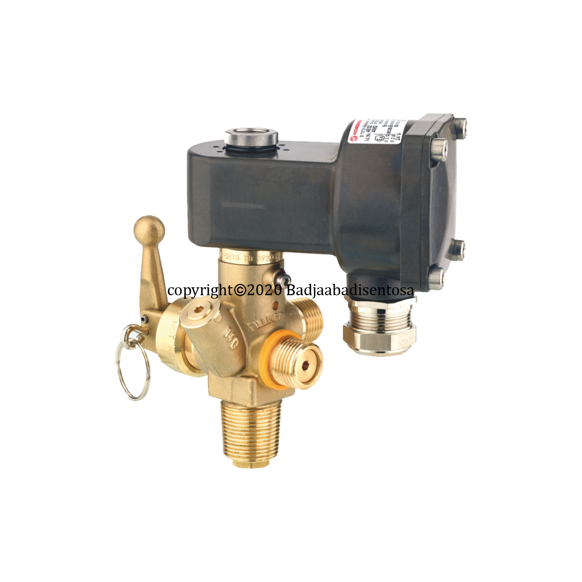 Rotarex - Firetec Complete Systems - Solenoid Fire Cylinder Valve with Atex Coil
